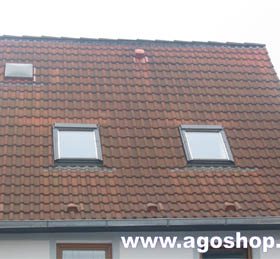 AGO Dachreinigung