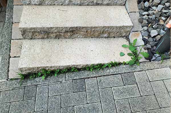 AGOshop - Unkrautfuchs in der Anwendung Bild 1