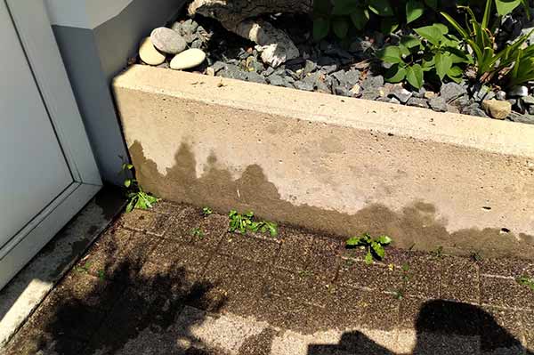 AGOshop - Unkrautfuchs in der Anwendung Bild 7