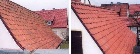 AGO Dachreinigung mit Quart