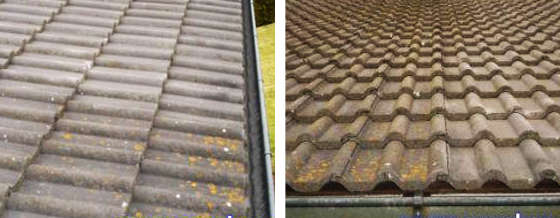 AGO Dachreinigung mit Quart