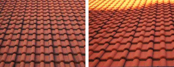 AGO Dachreinigung mit Quart