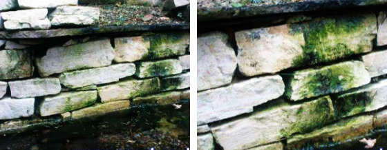 AGO Quart in Teichnähe anwenden