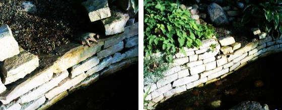 AGO Quart in Teichnähe anwenden