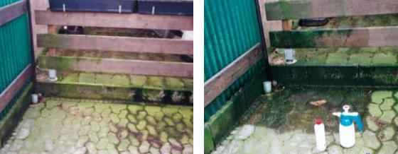 AGO Quart Wirkungsweise