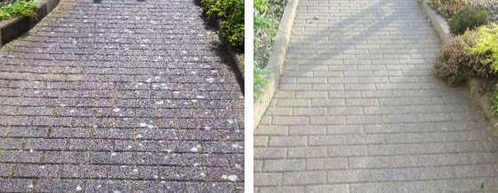 Flechten entfernen mit AGO Quart