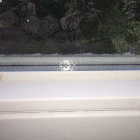 Anwendungsbeispiel im AGOshop