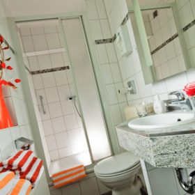 Anwendungsbeispiel im AGOshop