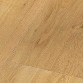 Anwendungsbeispiel im AGOshop